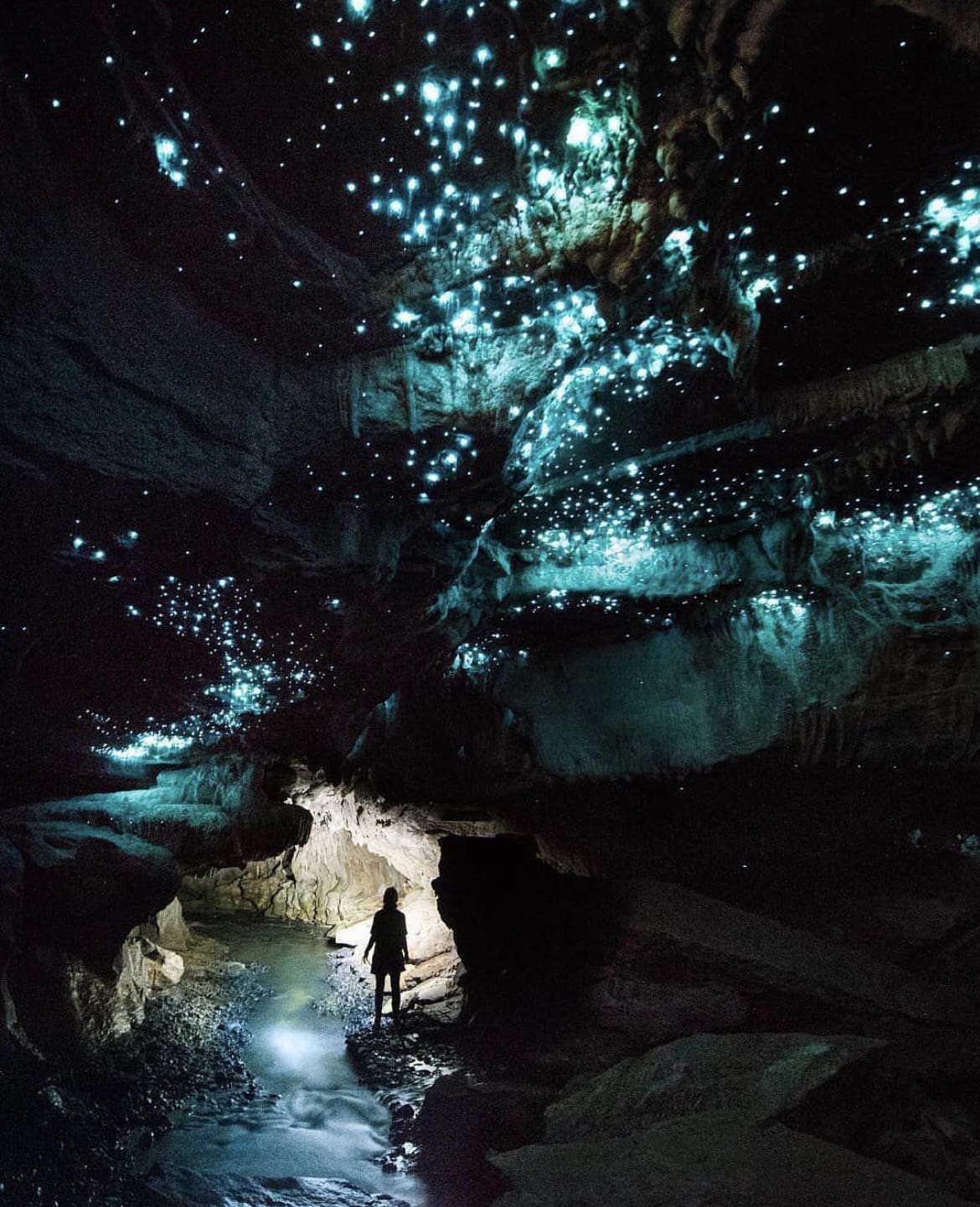 Waitomo Glowworm Caves